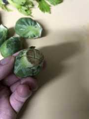 f:id:moznion:20171209140329j:plain