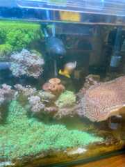 f:id:ncc1701f:20251101200650j:image f:id:ncc1701f:20251101200650j:image