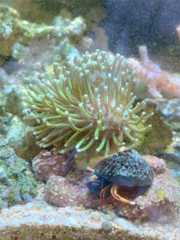 f:id:ncc1701f:20251109145024j:image