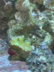 f:id:ncc1701f:20251109145043j:image