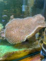 f:id:ncc1701f:20251109145300j:image