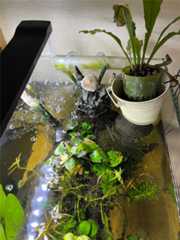 f:id:ncc1701f:20251111083645j:image