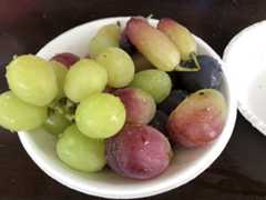 f:id:negineesan:20200918153115j:plain