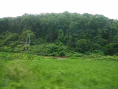 f:id:noririn3103:20200816144829j:plain f:id:noririn3103:20200816144829j:plain