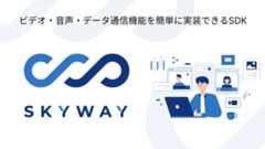 SkyWay