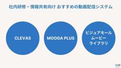 動画配信システム おすすめ