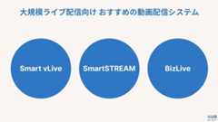動画配信システム おすすめ