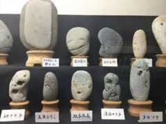 f:id:oldboy-elegy:20201030035622j:plain f:id:oldboy-elegy:20201030035622j:plain