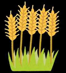 f:id:orangestar:20160120174035p:plain:right:w200