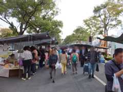 f:id:ornith:20141019154320j:plain