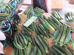 f:id:ornith:20141019154323j:plain