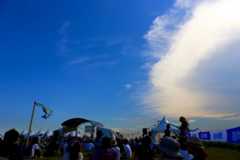 f:id:ornith:20151211183024j:plain