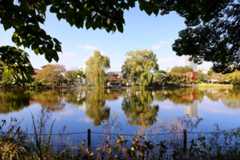 f:id:ornith:20151211183028j:plain