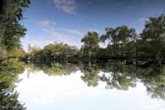 f:id:ornith:20151211183029j:plain