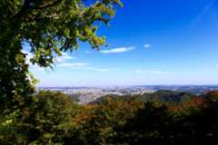 f:id:ornith:20151211191213j:plain