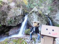 f:id:ornith:20160306234053j:plain