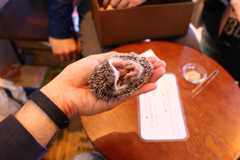 f:id:ornith:20160503111150j:plain