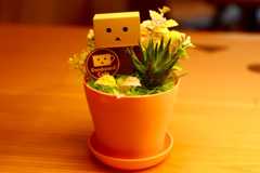 f:id:ornith:20160523163202j:plain