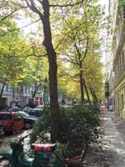 f:id:otiai10:20160903114630j:plain