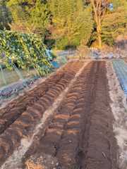 f:id:pandros:20251208175923j:image