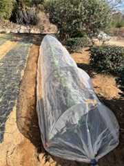 f:id:pandros:20251209181137j:image