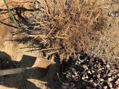 f:id:pandros:20251209182022j:image