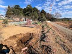 f:id:pandros:20251209182220j:image