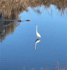 f:id:pandros:20251210165303j:image