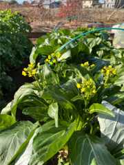 f:id:pandros:20251216123158j:image