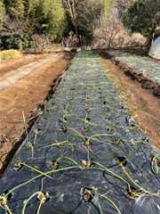 f:id:pandros:20251216123347j:image