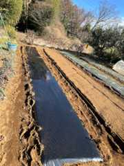 f:id:pandros:20251216163800j:image