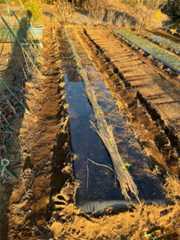 f:id:pandros:20251216163826j:image