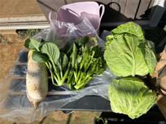 f:id:pandros:20251216164204j:image