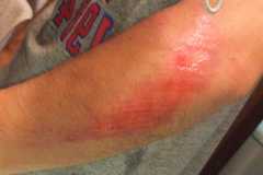 f:id:pedalfar:20090716035018j:image:w300 f:id:pedalfar:20090716035018j:image:w300