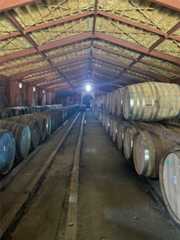 f:id:quuzou:20251004063608j:image