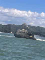 f:id:quuzou:20251004064702j:image