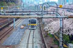 f:id:saewataru:20191023175059j:plain f:id:saewataru:20191023175059j:plain