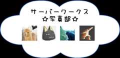 サーバーワークス写真部メンバー