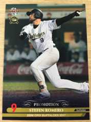 f:id:shibata_pro:20171227131946j:plain f:id:shibata_pro:20171227131946j:plain