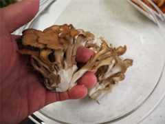 f:id:shinya_gohan:20200609060632j:image f:id:shinya_gohan:20200609060632j:image