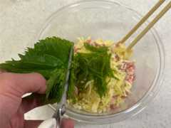 f:id:shinya_gohan:20230315064642j:image f:id:shinya_gohan:20230315064642j:image