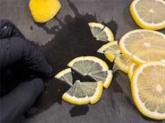 f:id:shinya_gohan:20251203072922j:image f:id:shinya_gohan:20251203072922j:image