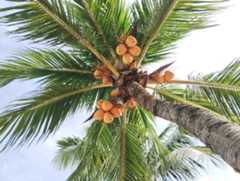 f:id:subete8suteki:20251203111423j:image