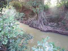 f:id:subete8suteki:20251207114442j:image