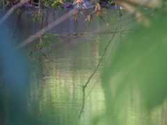 f:id:subete8suteki:20251207114503j:image