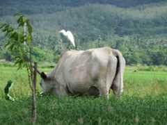 f:id:subete8suteki:20251207114655j:image