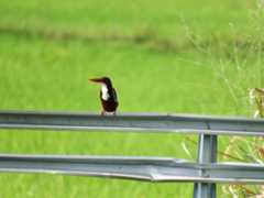 f:id:subete8suteki:20251207114724j:image