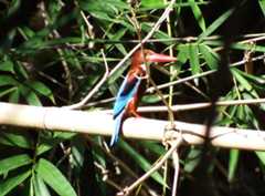 f:id:subete8suteki:20251207114735j:image