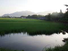 f:id:subete8suteki:20251207115739j:image