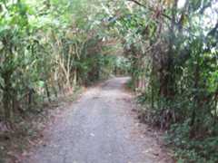 f:id:subete8suteki:20251207115751j:image